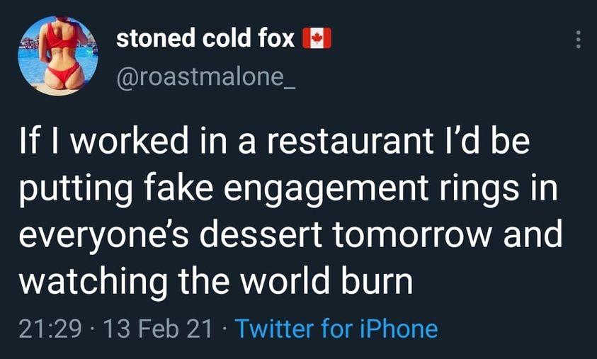 stoned cold fox QIEER EI LT If worked in a restaurant Id be putting fake engagement rings in everyones dessert tomorrow and el TaTe R TR o g o MoV gy 2129 13 Feb 21 Twitter for iPhone