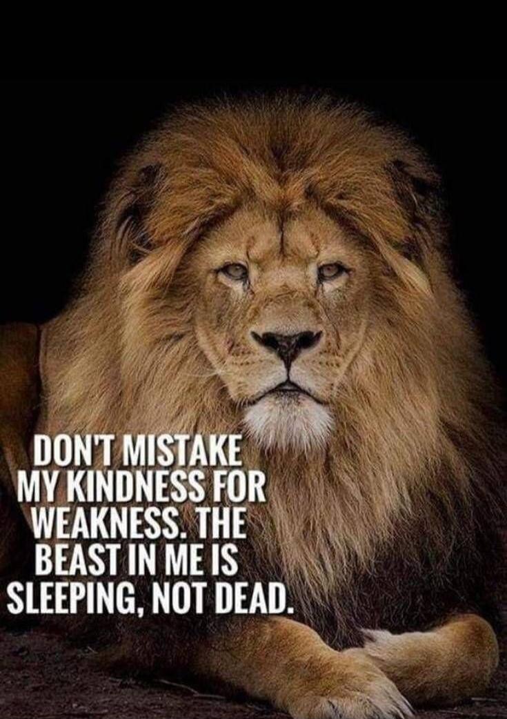 DON'T MISTAKE MY KINDNESS FOR WEAKNESS. THE BEAST IN ME IS SLEEPING, NOT DEAD.