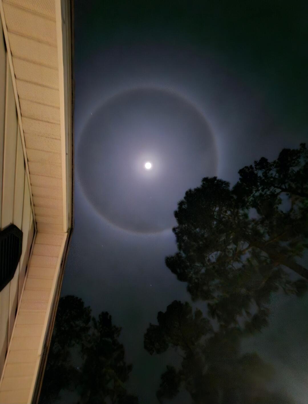 Session ID: 1047814.