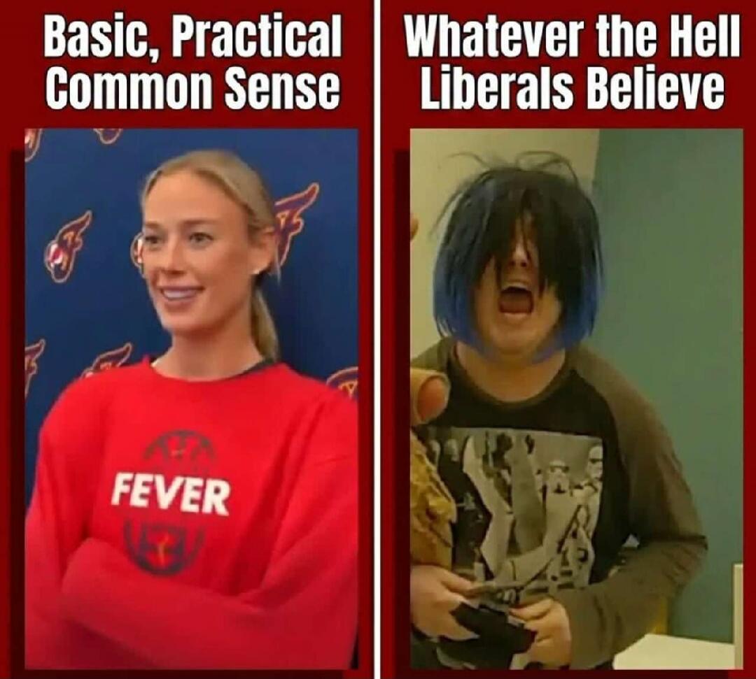 Basic, Practical Common Sense. FEVER. Whatever the Hell Liberals Believe.