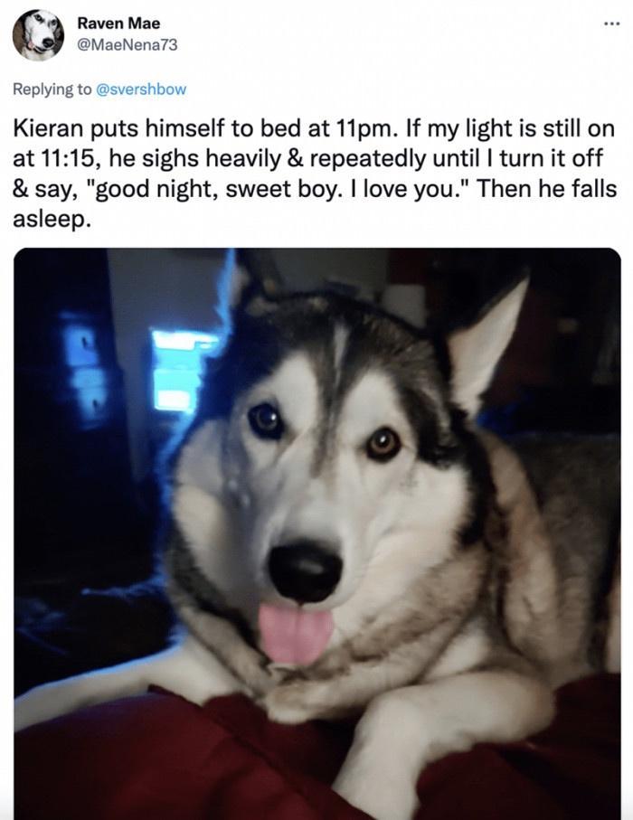 Q Raven Mae Kieran puts himself to bed at 11pm If my light is still on at 1115 he sighs heavily repeatedly until tum it off say good night sweet boy love you Then he falls asleep