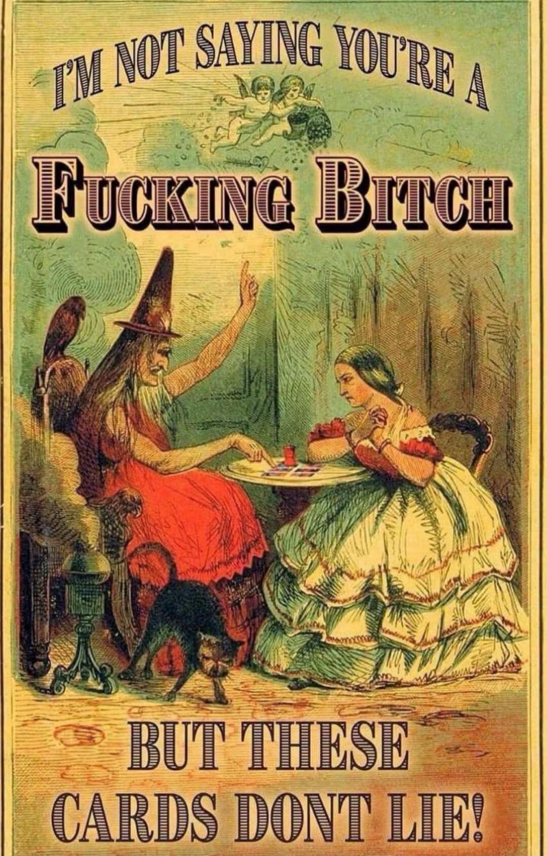 I'M NOT SAYING YOU'RE A FUCKING BITCH BUT THESE CARDS DON'T LIE!