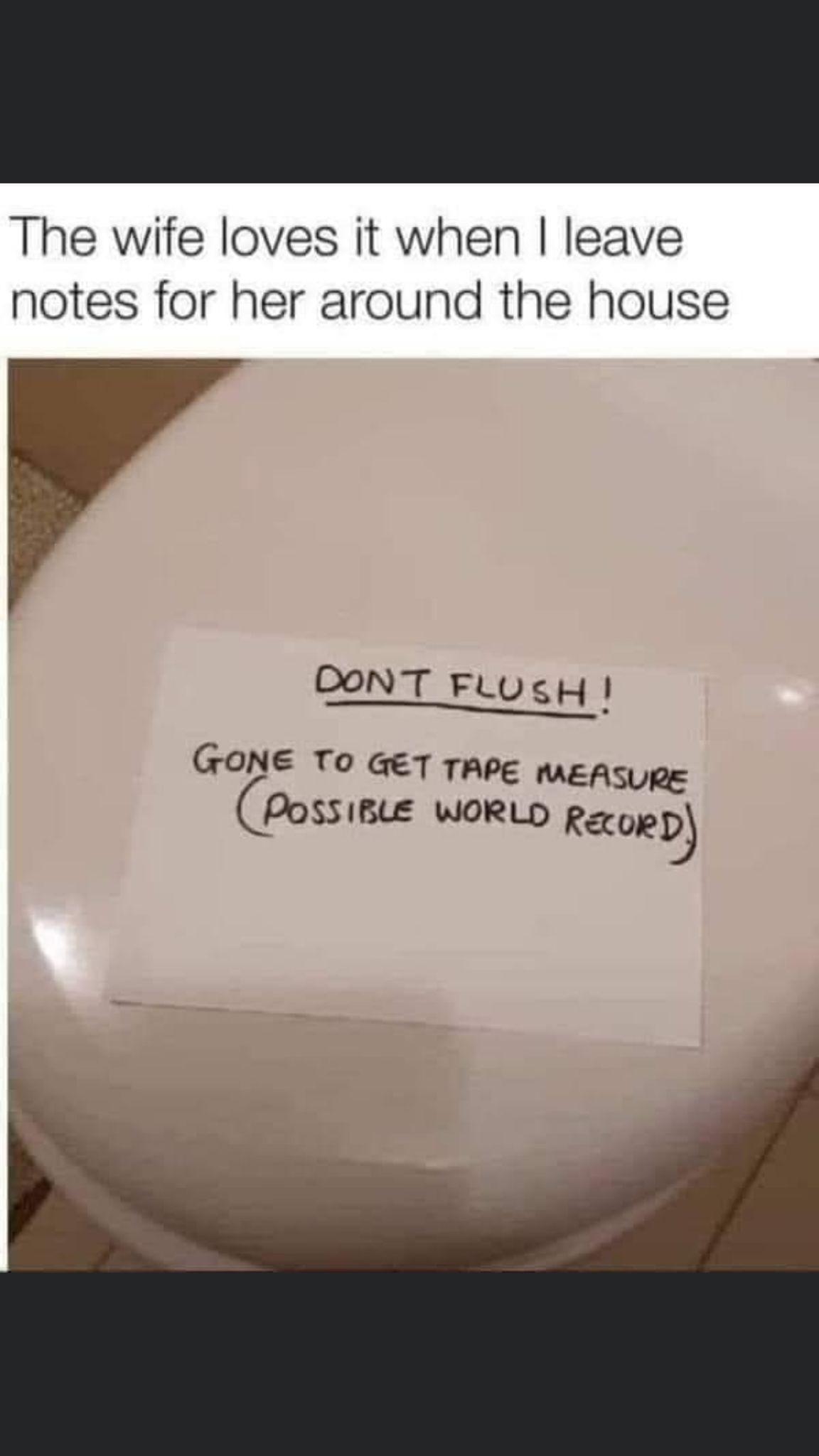 The wife loves it when leave notes for her around the house DONT FLUSH GONE To GeT TAPE MEASURE Cpossmus WORLD gaoe