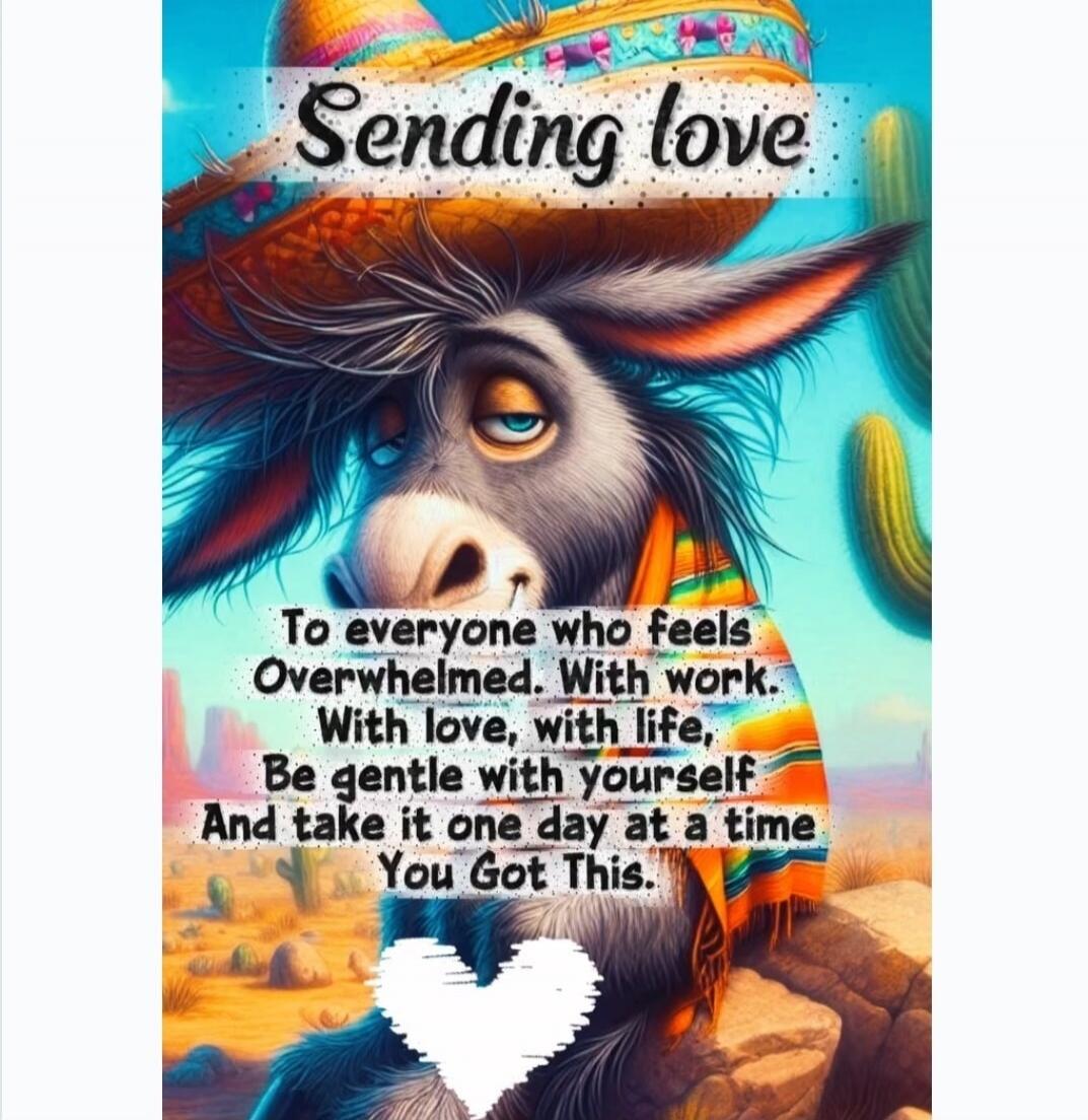 Sending love. To everyone who feels Overwhelmed. With work. With love, with life, Be gentle with yourself And take it one day at a time You Got This.