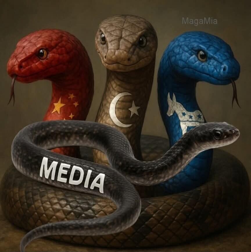 MEDIA MagaMia
