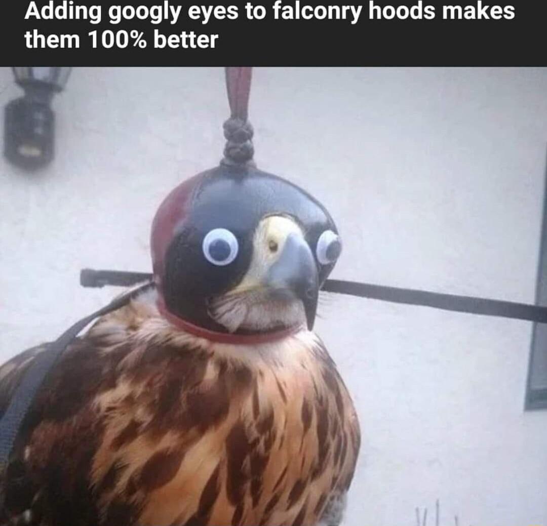 Lo Jeolols DA TER GR EILL I AL L SRR ELCH them 100 better