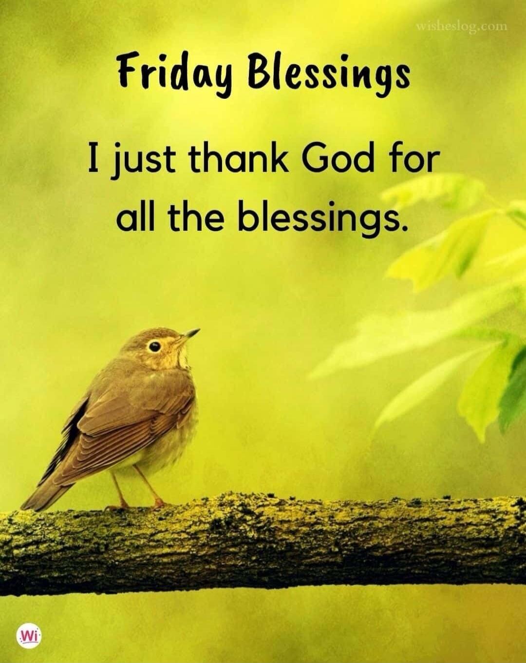 Friday Blessings. I just thank God for all the blessings.