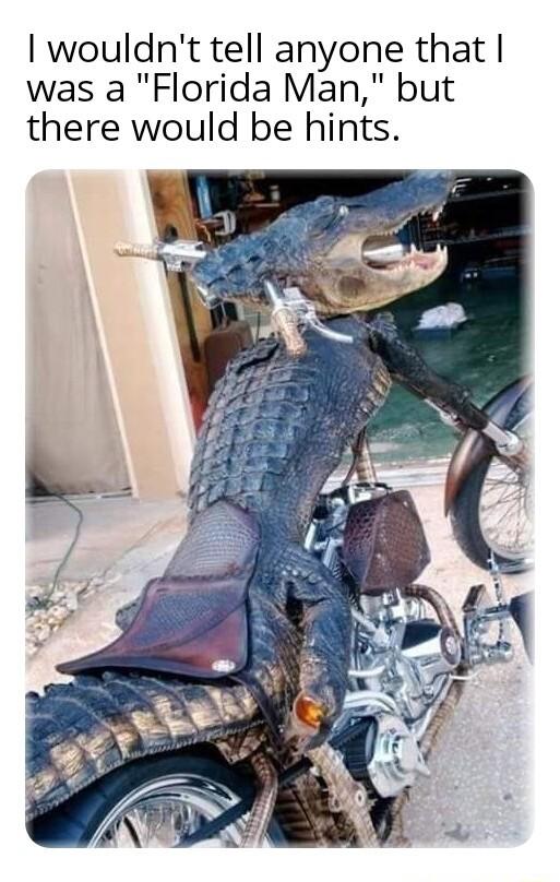 wouldnt tell anyone that was a Florida Man but there would be hints