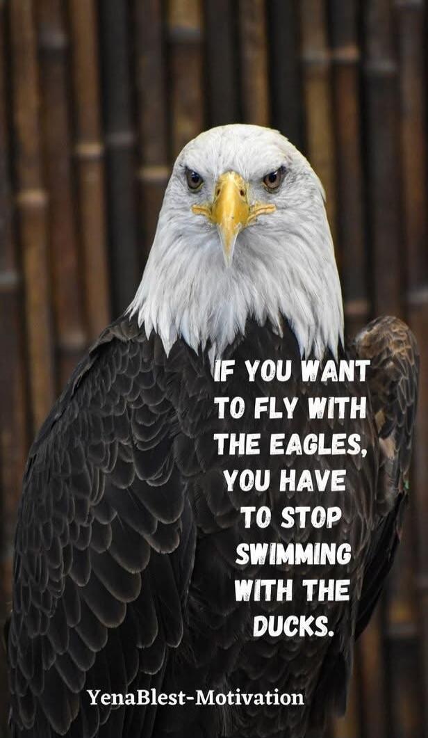 IF YOU WANT TO FLY WITH THE EAGLES, YOU HAVE TO STOP SWIMMING WITH THE DUCKS.
YenaBlest-Motivation