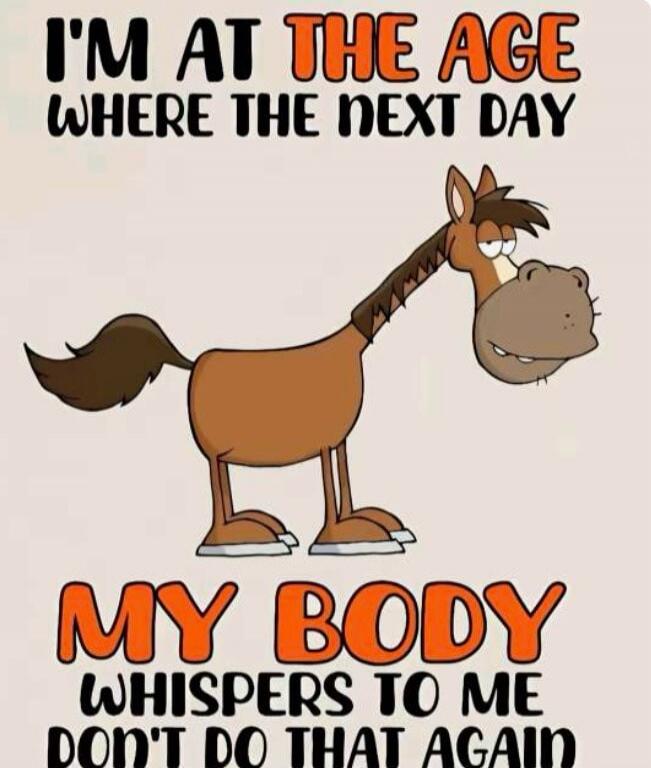 I'M AT THE AGE WHERE THE NEXT DAY MY BODY WHISPERS TO ME DON'T DO THAT AGAIN