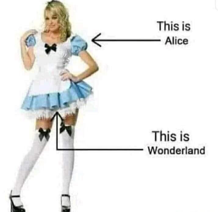 This is Alice. This is Wonderland.