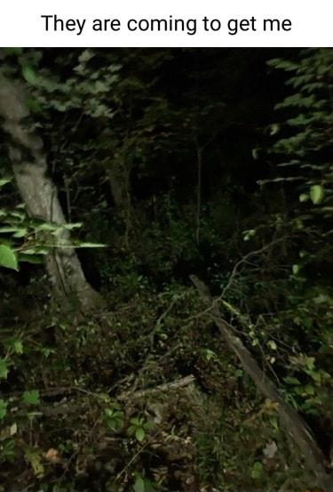 They are coming to get me