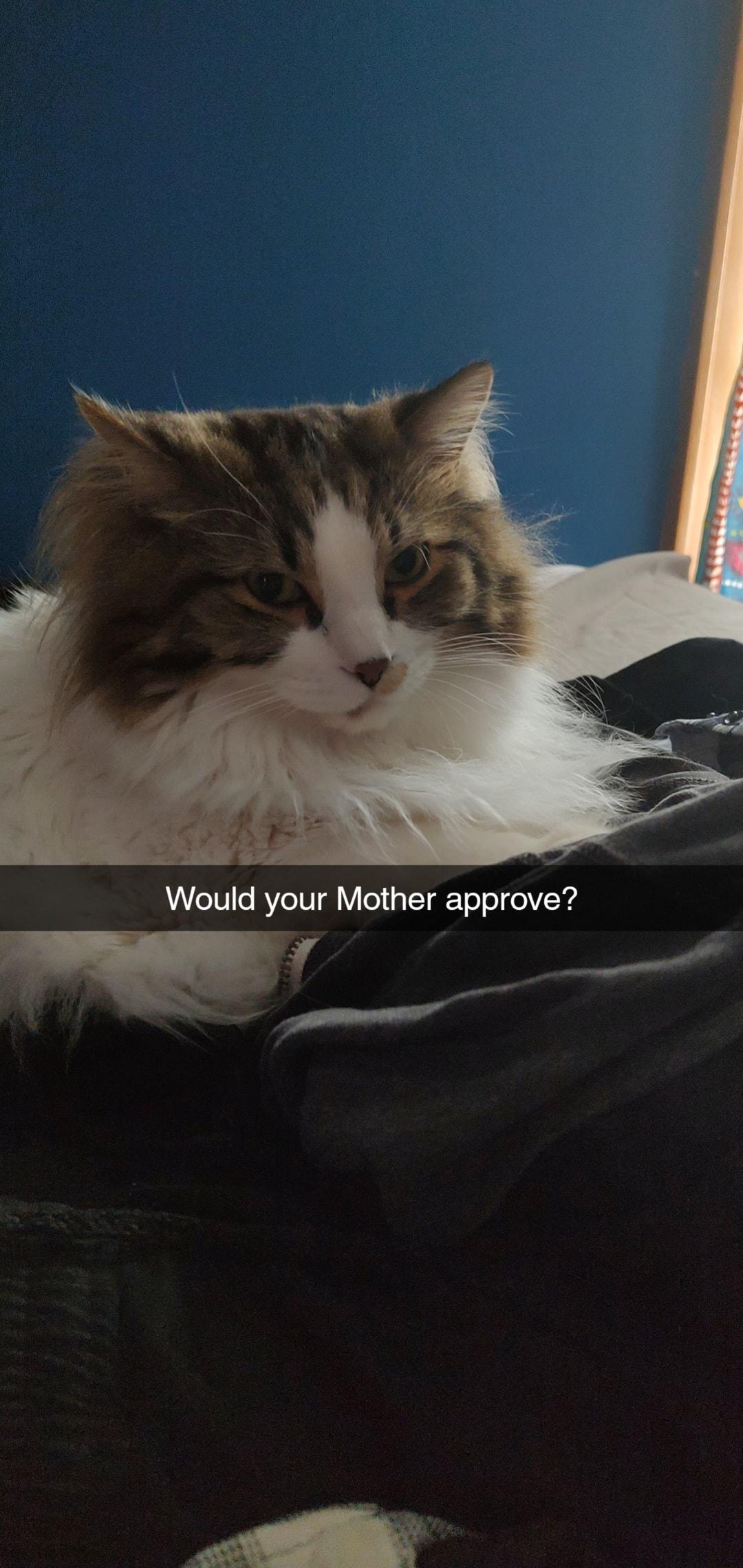 Would your Mother approve S