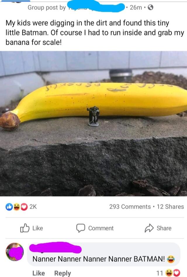 Group post by SN 26m My kids were digging in the dirt and found this tiny little Batman Of course had to run inside and grab my banana for scale O0 2 203 Comments 12 Shares Share Y Uke comment A C Nanner Nanner Nanner Nanner BATMAN Like Reply M
