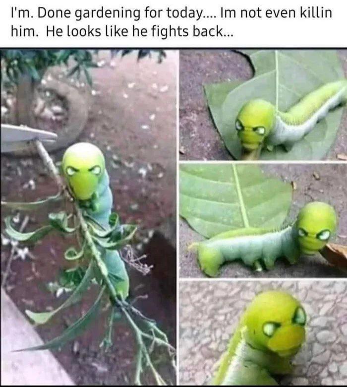 Im Done gardening for today Im not even killin him He looks like he fights back
