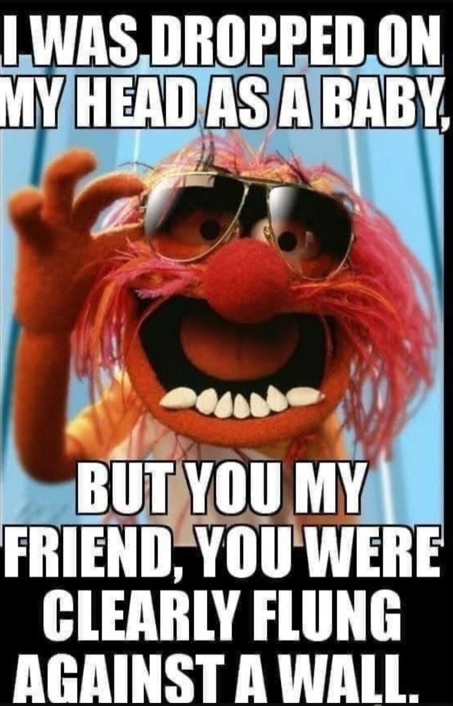 I WAS DROPPED ON MY HEAD AS A BABY, BUT YOU MY FRIEND, YOU WERE CLEARLY FLUNG AGAINST A WALL.