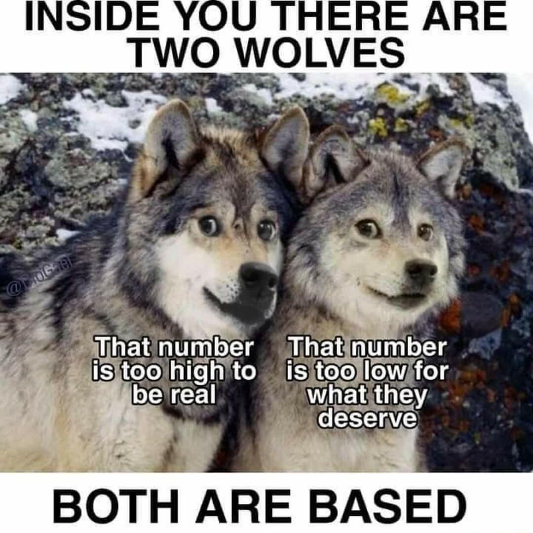 TWO WOLVES BOTH ARE BASED