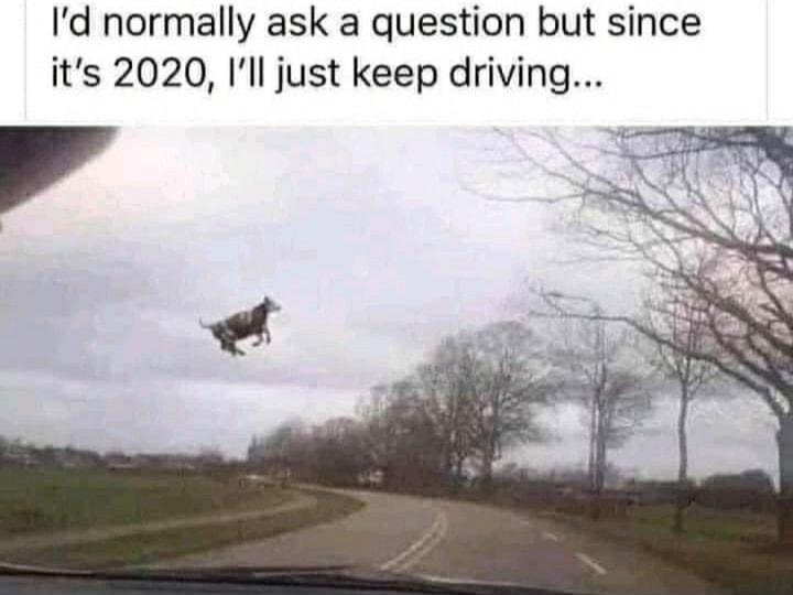 Id normally ask a question but since its 2020 Ill just keep driving