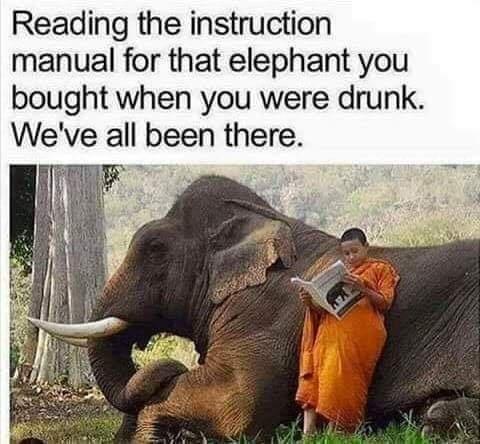 Reading the instruction manual for that elephant you bought when you were drunk Weve all been there