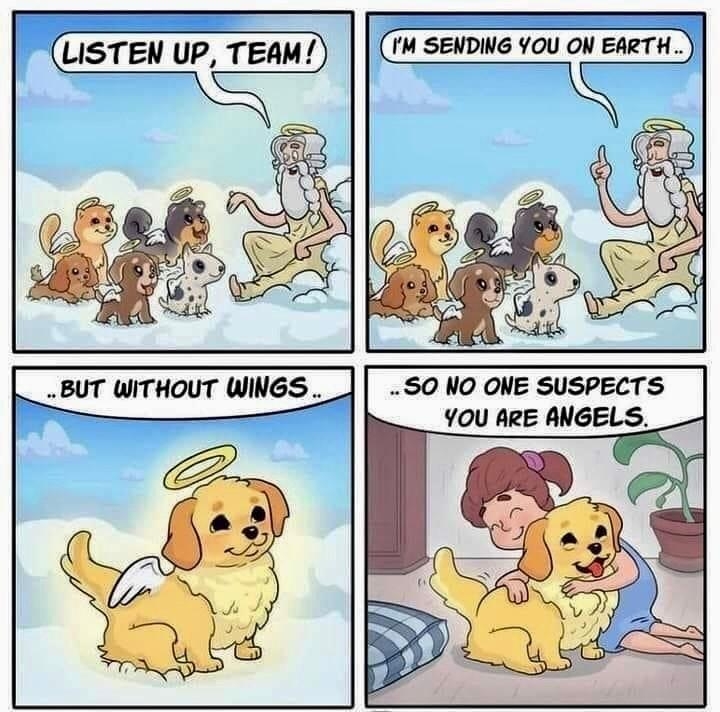 M SENDING Y0U ON EARTH 50 NO ONE SUSPECTS YOU ARE ANGELS AWESOME TALES COMICS