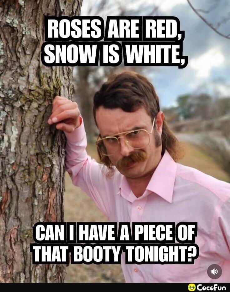 ROSES ARE RED, SNOW IS WHITE, CAN I HAVE A PIECE OF THAT BOOTY TONIGHT?