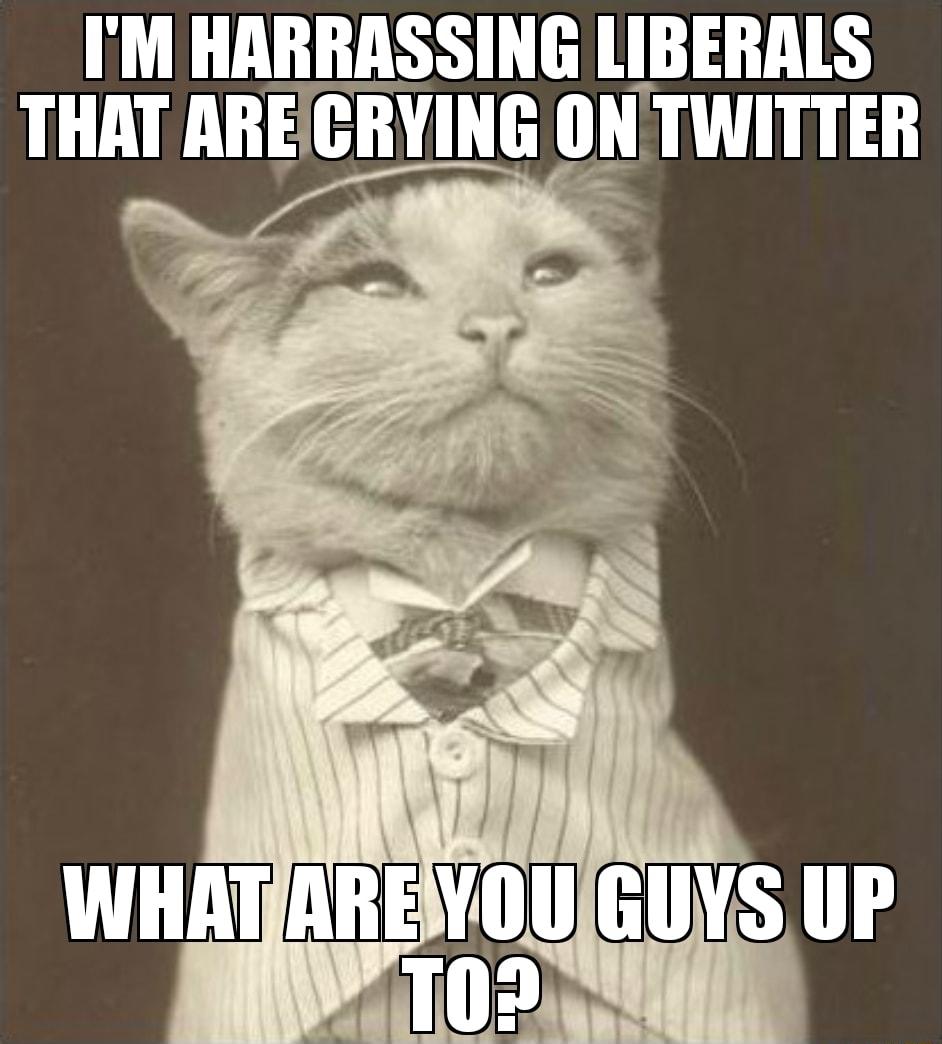 M HARRASSING LIBERALS THAT ARECRYING IIN TWITTER
