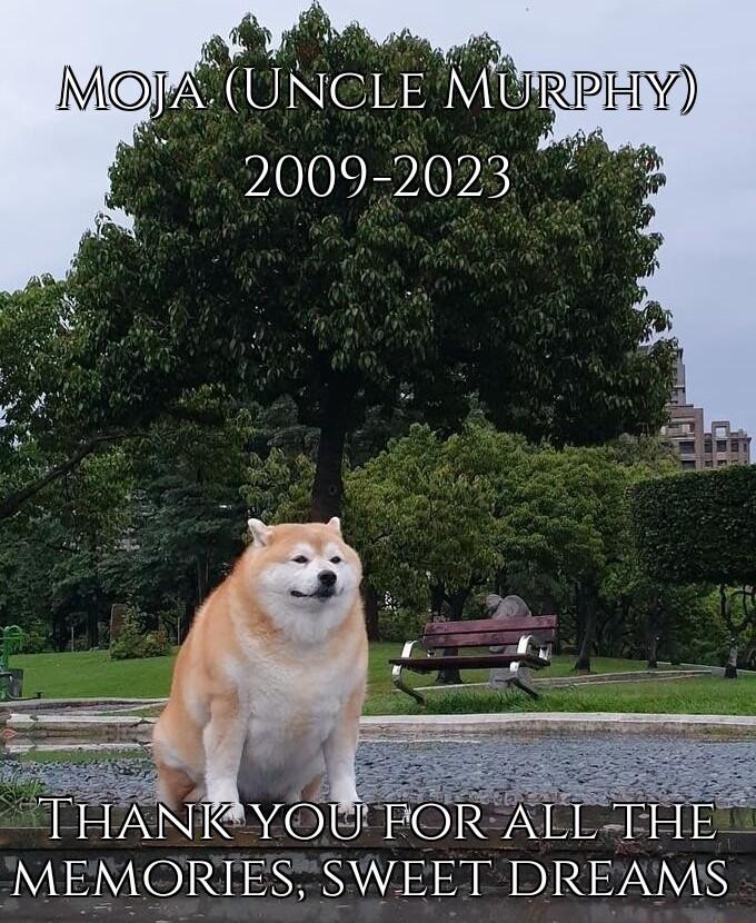 NI MEMORIES SWEET DREAMS