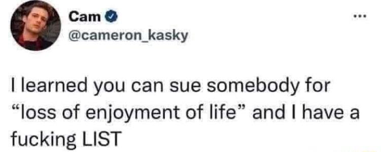 Cam cameron_kasky learned you can sue somebody for loss of enjoyment of life and have a fucking LIST