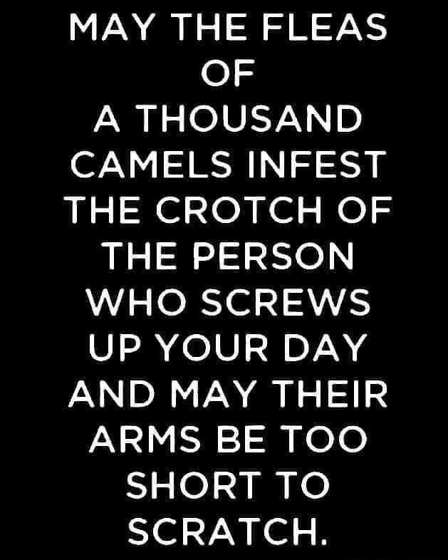 MAY THE FLEAS OF A THOUSAND CAMELS INFEST THE CROTCH OF THE PERSON WHO SCREWS UP YOUR DAY AND MAY THEIR ARMS BE TOO SHORT TO SCRATCH