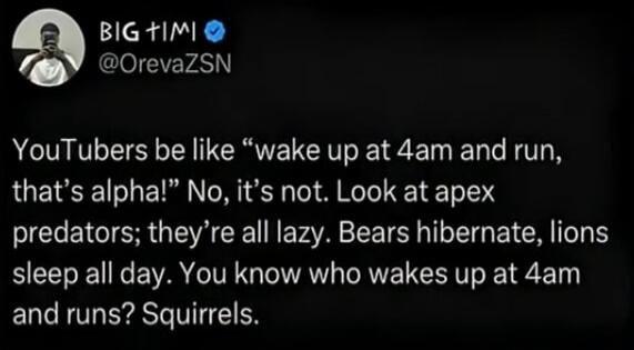 BIG TIMI @OrevaZSN YouTubers be like “wake up at 4am and run, that’s alpha!” No, it’s not. Look at apex predators; they’re all lazy. Bears hibernate, lions sleep all day. You know who wakes up at 4am and runs? Squirrels.