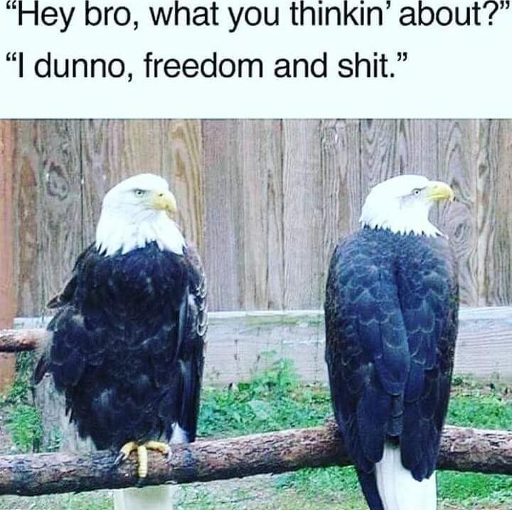 Hey bro what you thinkin about l dunno freedom and shit E RN