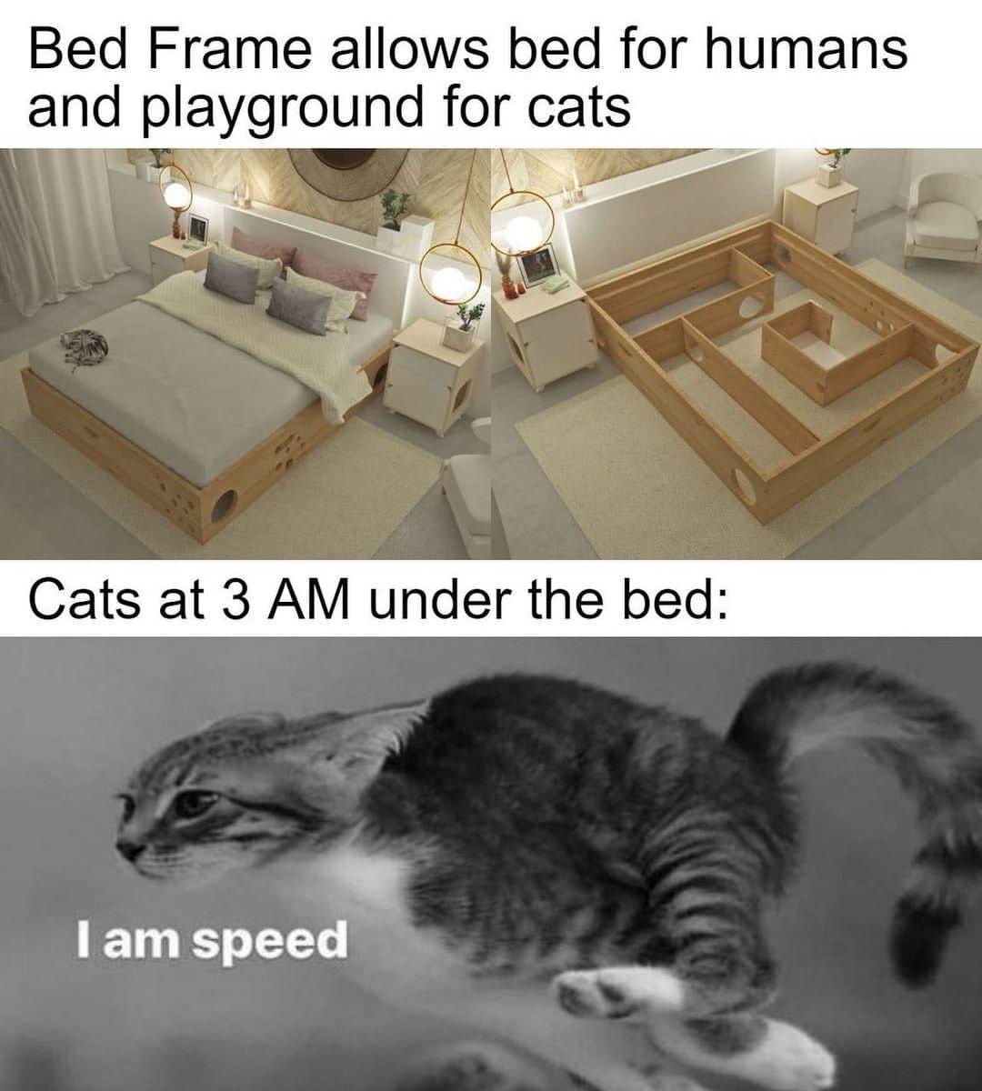 Bed Frame allows bed for humans and playground for cats Cats at 3 AM under the bed am speed