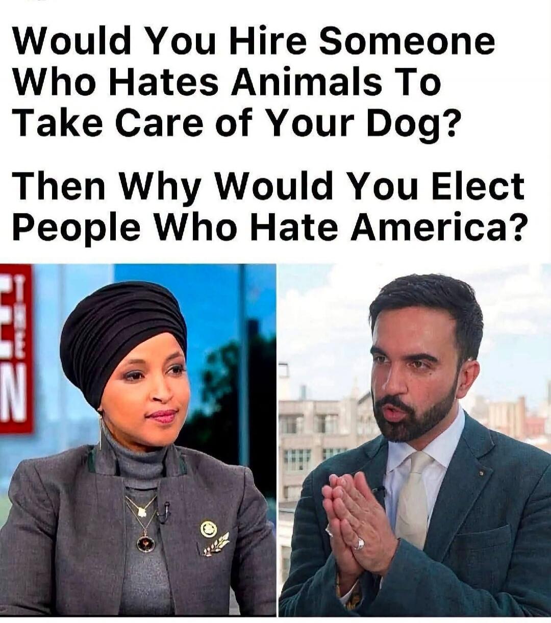 Would You Hire Someone Who Hates Animals To Take Care of Your Dog? Then Why Would You Elect People Who Hate America?