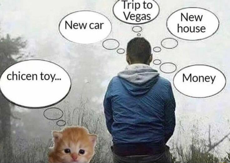 Vegas N 3 New car i house O chicen toy
