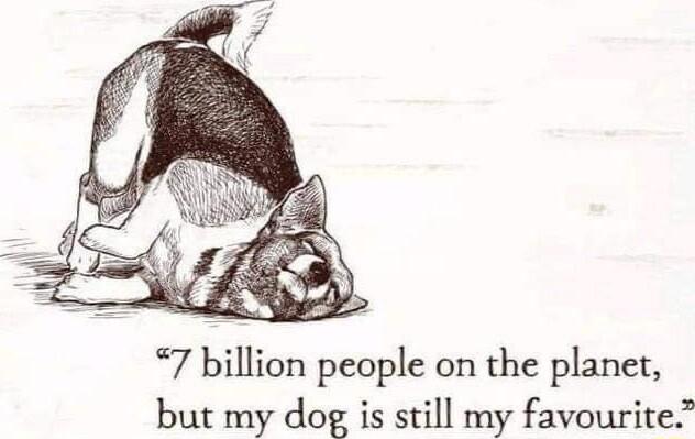 7 billion people on the planet but my dog is still my favourite