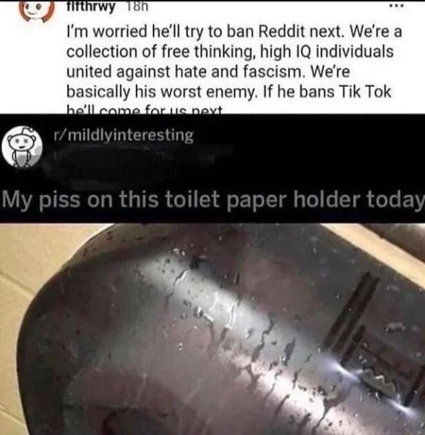 nhrwy 160 Im worried hell try to ban Reddit next Were a collection of free thinking high 1Q individuals united against hate and fascism Were basically his worst enemy If he bans Tik Tok
