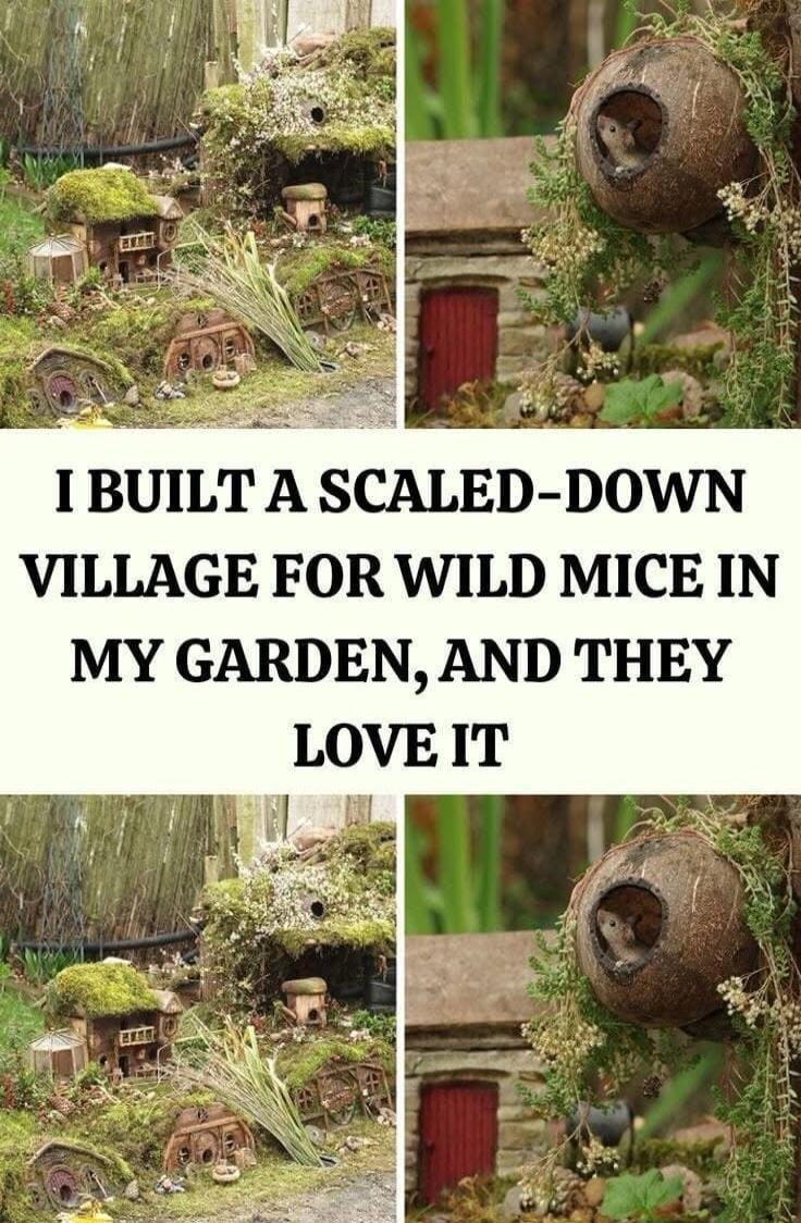 I BUILT A SCALED DOWN VILLAGE FOR WILD MICE IN MY GARDEN AND THEY LOVEIT