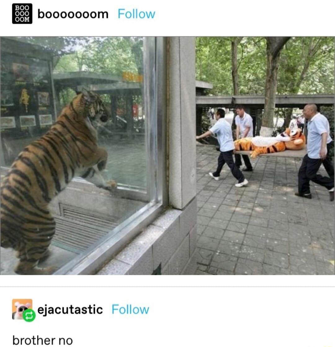 booooooom Follow ejacutastic Follow brother no