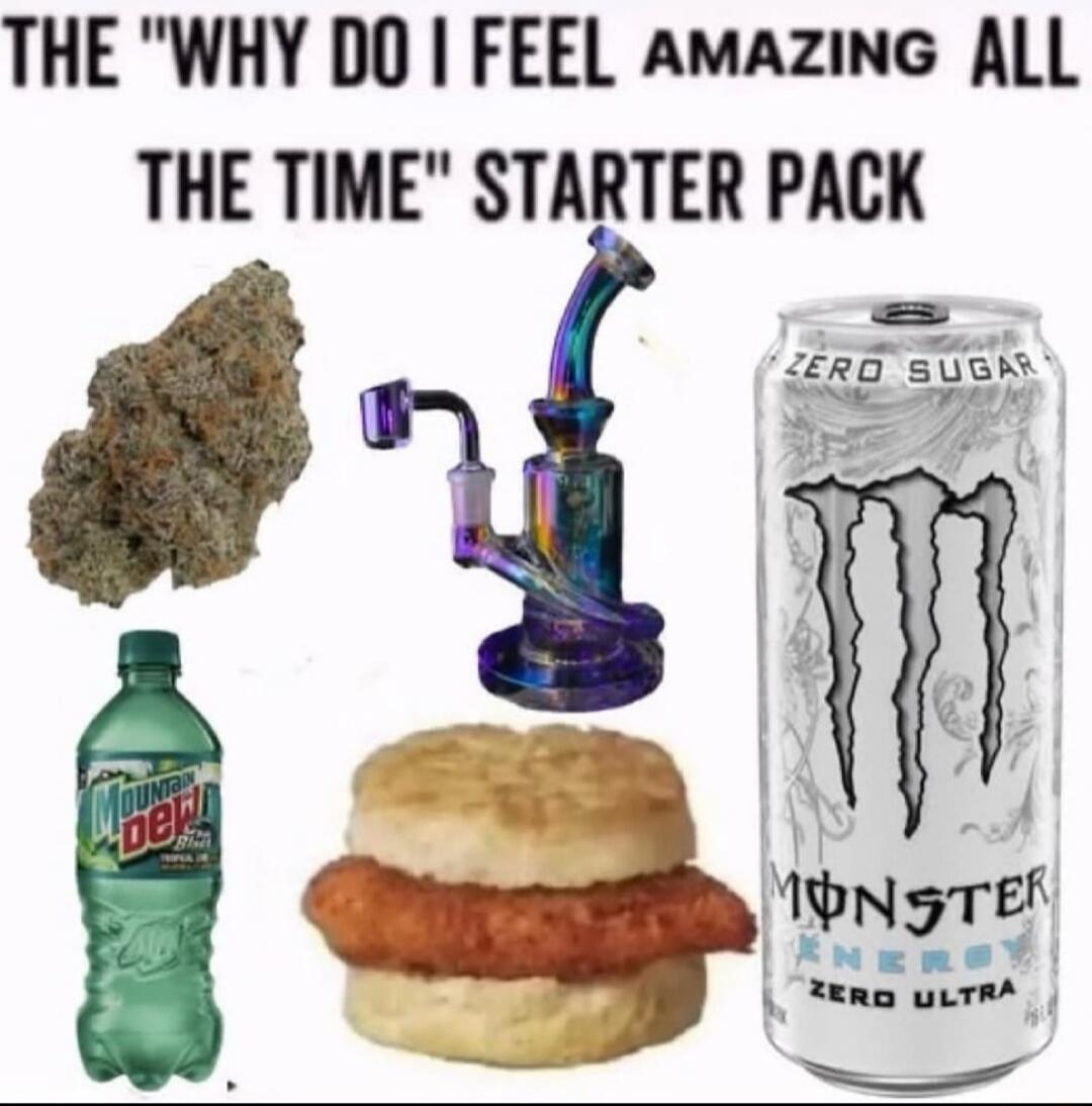 THE 'WHY DO I FEEL AMAZING ALL THE TIME' STARTER PACK
[rock], [bong], Monster Energy Zero Ultra can, Mountain Dew bottle, hamburger bun with a fried patty (looks like a burger),