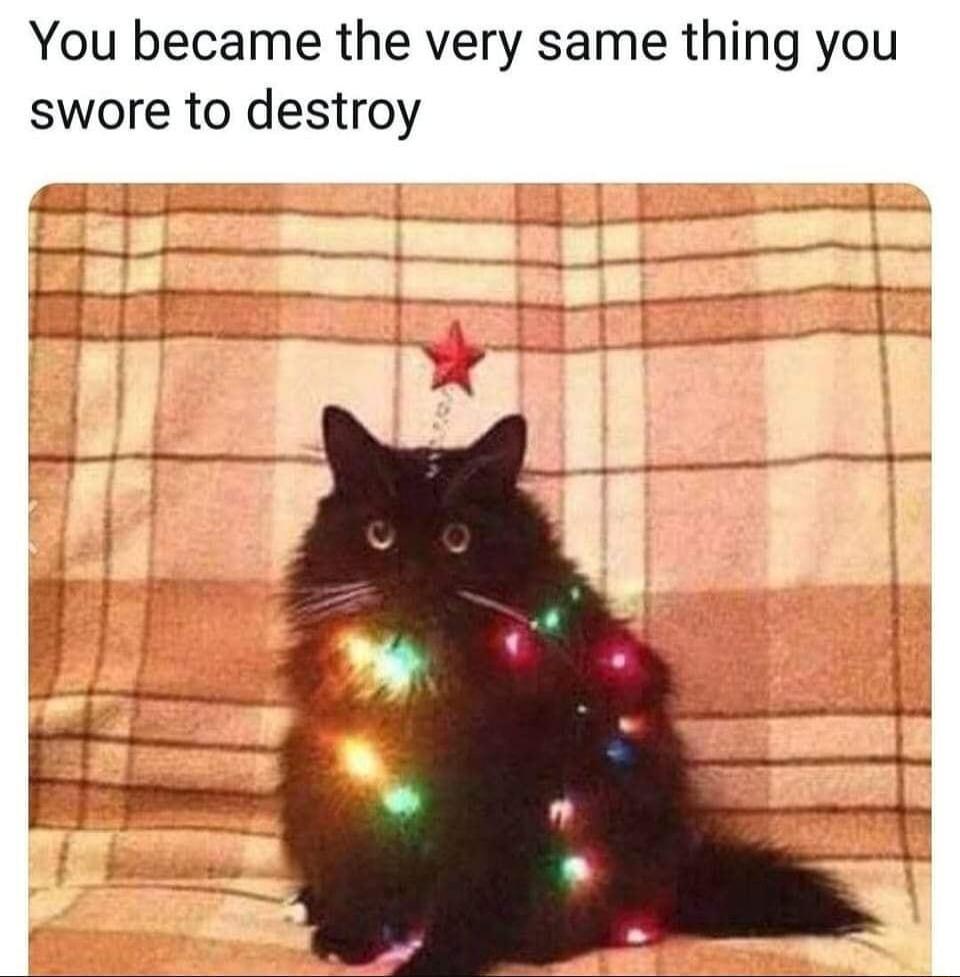 You became the very same thing you swore to destroy