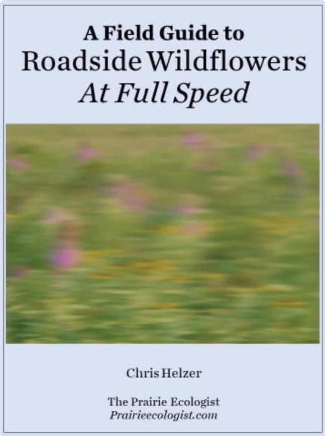 A Field Guide to Roadside Wildflowers At Full Speed Chris Helzer The Prairie Ecologist Prairieecologistcom