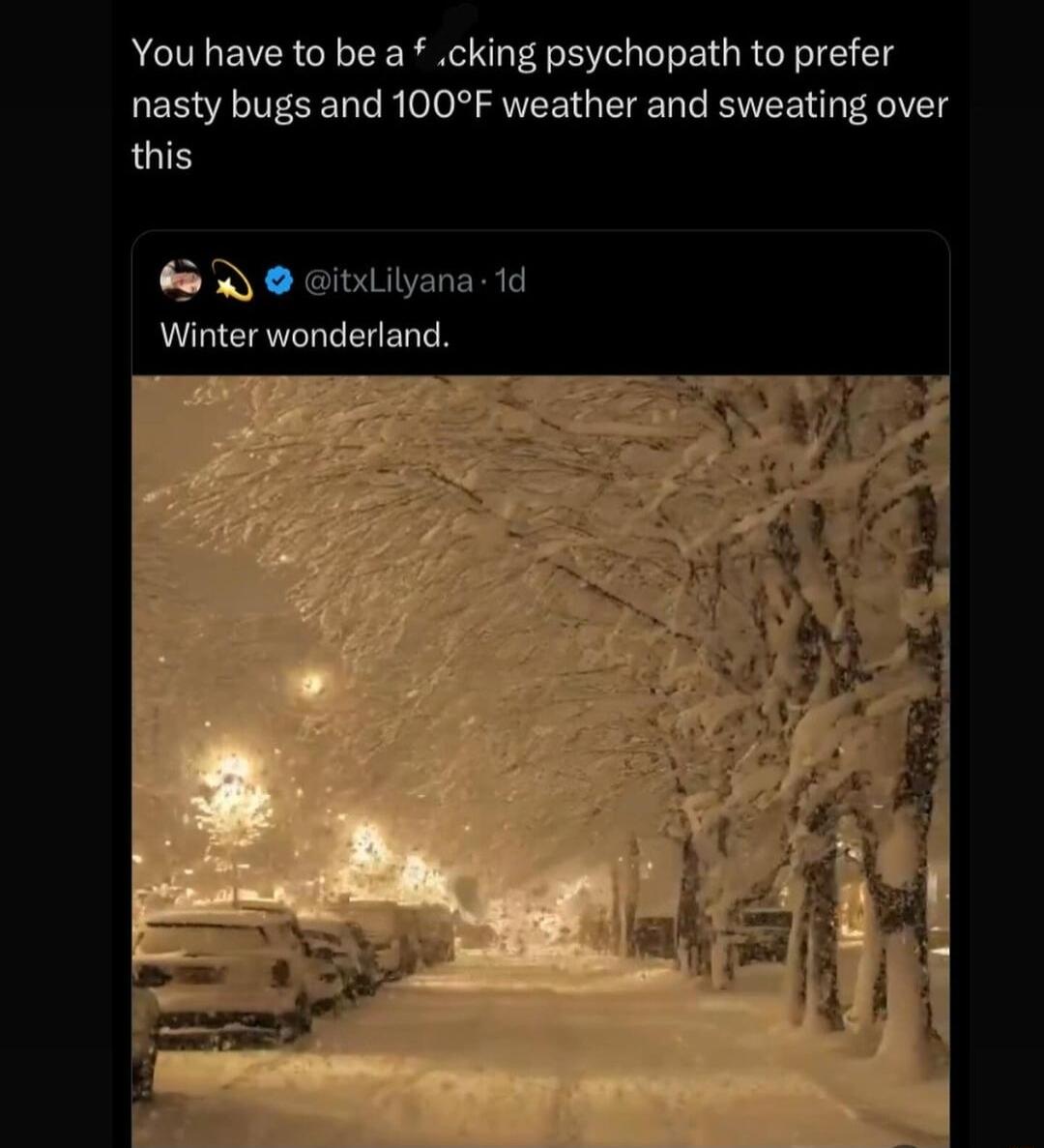 You have to be a cking psychopath to prefer nasty bugs and 100F weather and sweating over this Winter wonderland