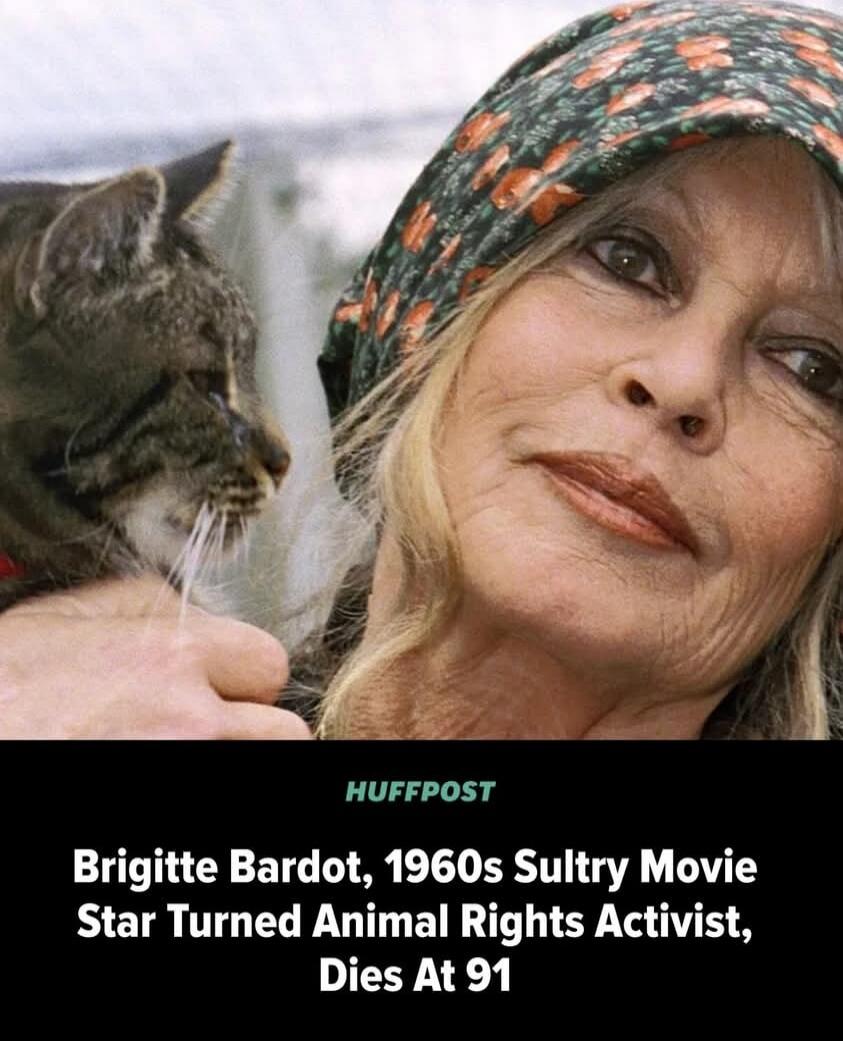 Brigitte Bardot, 1960s Sultry Movie Star Turned Animal Rights Activist, Dies At 91