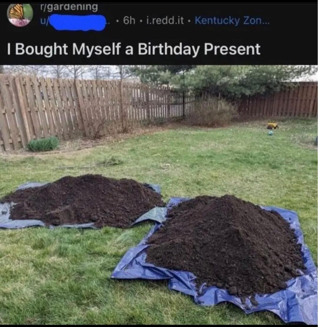 9araening g o ireddit Kentucky zon Bought Myself a Birthday Present