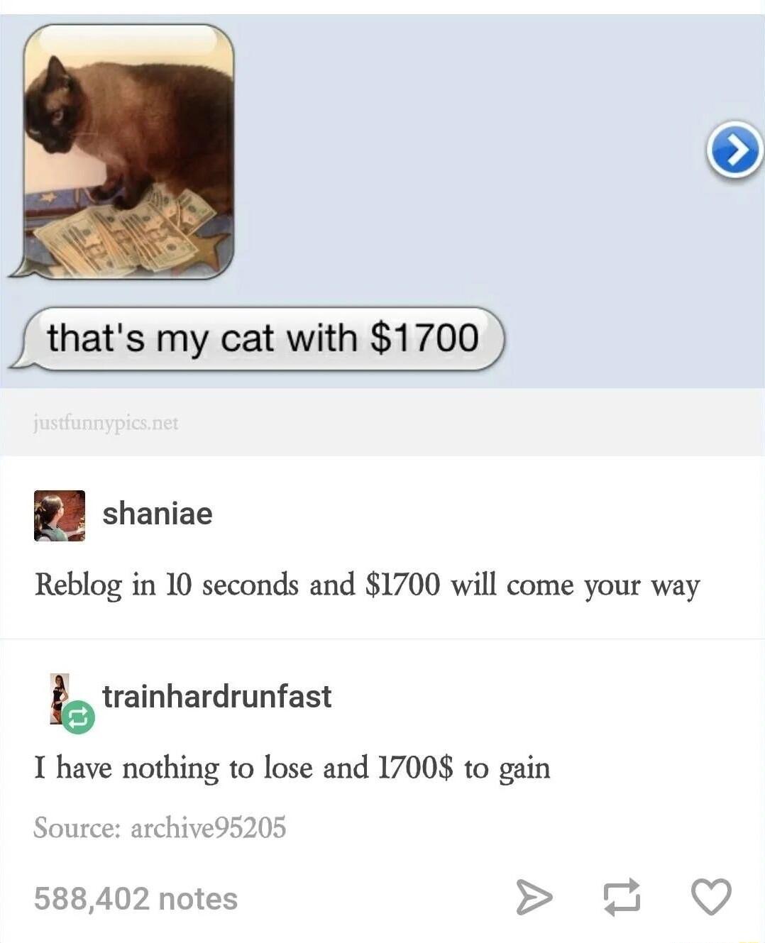 my cat with 1700 shaniae Reblog in 10 seconds and 1700 will come your way btrainhardrunfast T have nothing to lose and 17008 to gain Source archive95205 588402 notes 2
