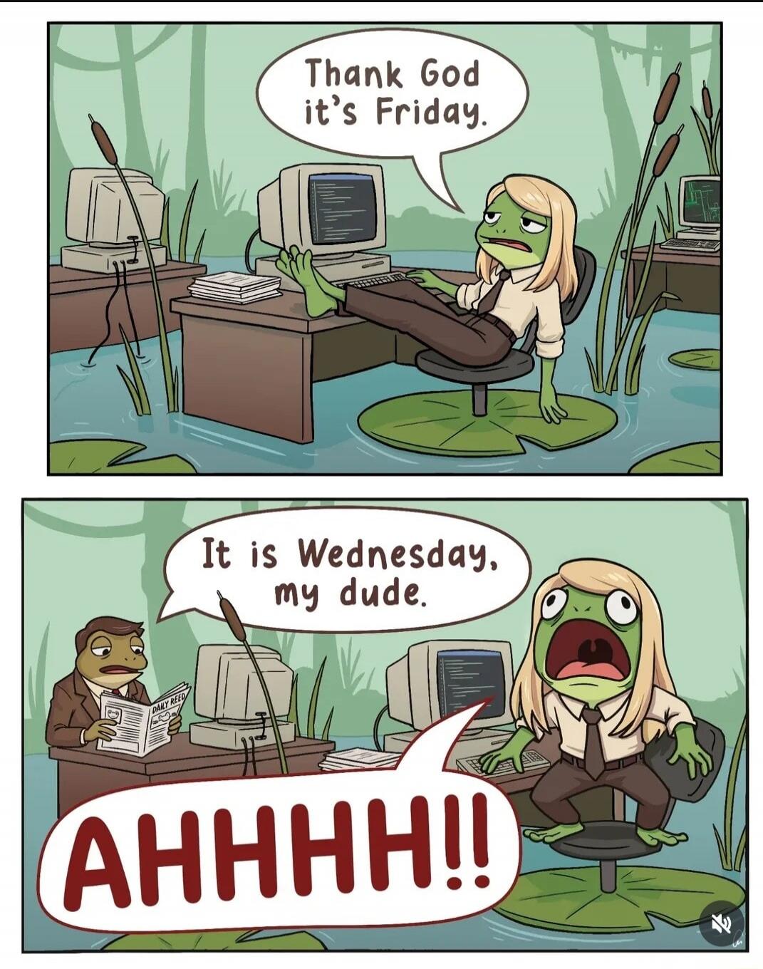 Thank God it's Friday. It is Wednesday, my dude. AHHHH!!