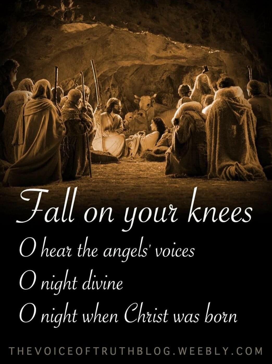 Fall on your knees O hear the angels' voices O night divine O night when Christ was born