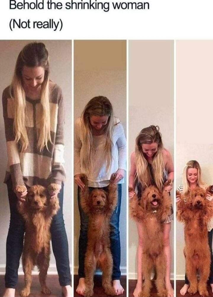 Behold the shrinking woman (Not really)