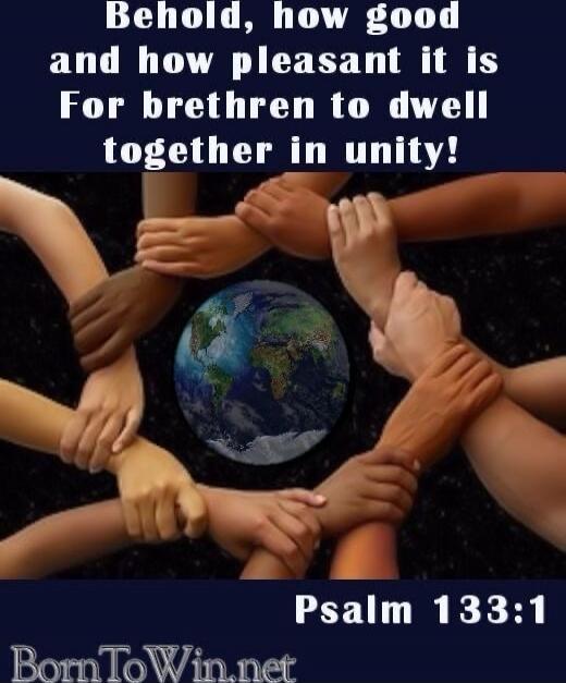 Behold, how good and how pleasant it is For brethren to dwell together in unity! Psalm 133:1