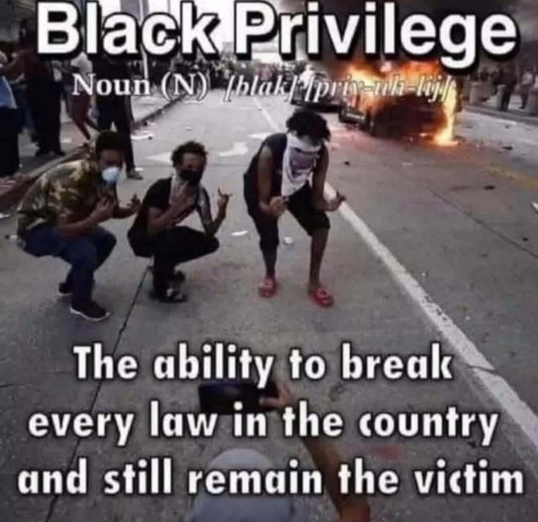 Black Privilege Noun (N) [blak] [priv-uh-lij] The ability to break every law in the country and still remain the victim
